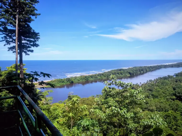 Tortuguero Hill Hike