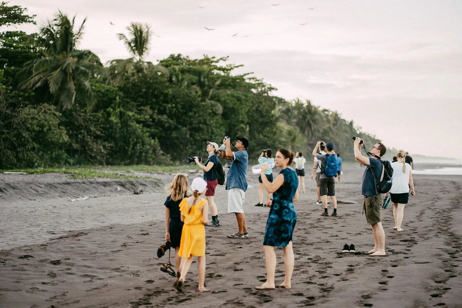 Guests and guide watching wildlife on the beach at dawn